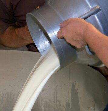 Latte, in Piemonte cresce la produzione ma i prezzi restano sotto i livelli del 2025